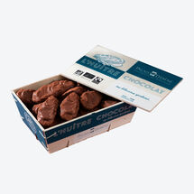 Cremige Nougat-Austern - Bio-Schokoladen Spezialitt aus der Normandie